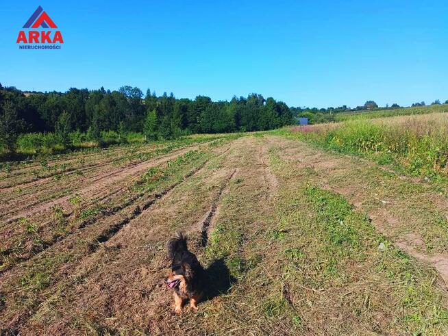 Działka rolna Sadek gm. Jodłownik