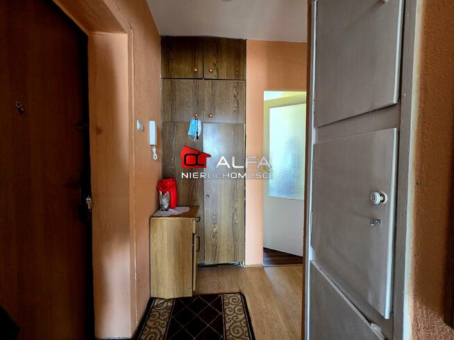 Mieszkanie Świdnica