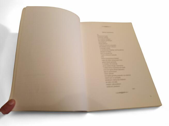 Hanna Wietrzny: Z łyżką clowna przez los + CD wyd. Trivium