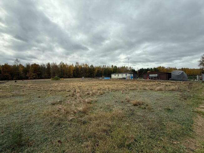 Urokliwa działka z możliwością zabudowy w otoczeniu lasów