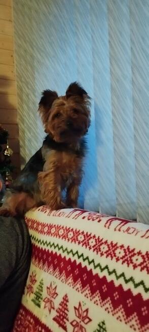 Turystyka i wypoczynek