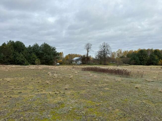 Urokliwa działka z możliwością zabudowy w otoczeniu lasów