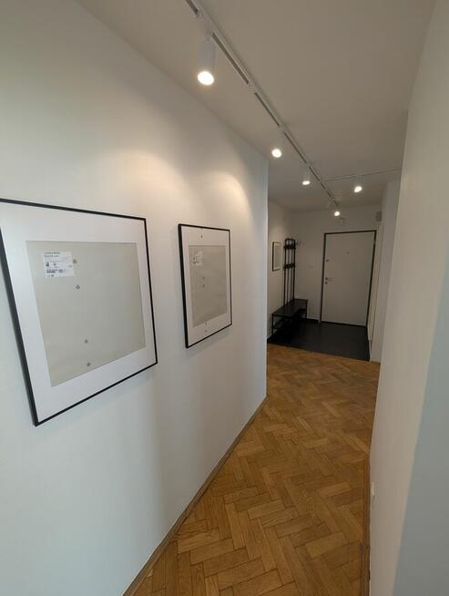 Wynajmę pokój w centrum Warszawy ul Hoża 12m2 Dla dziewczyn