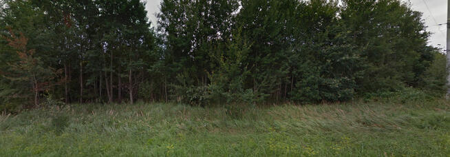 4 działki rolne oraz leśna. Łączna powierzchnia 3116 m2