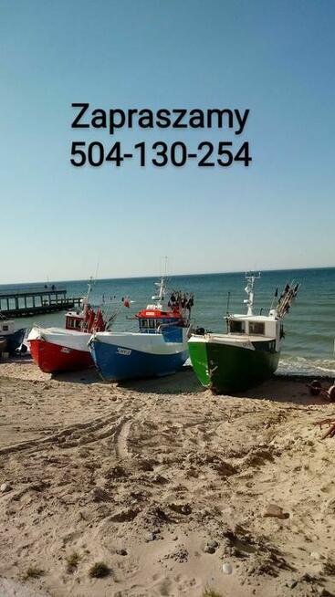 Pole namiotowe / kempingowe