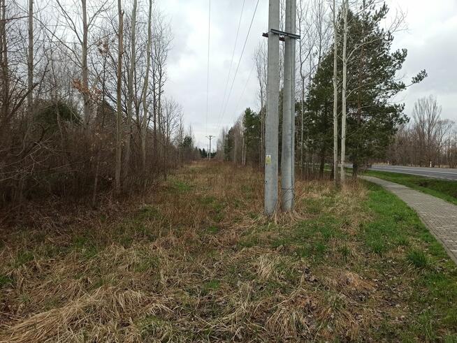 4 działki rolne oraz leśna. Łączna powierzchnia 3116 m2