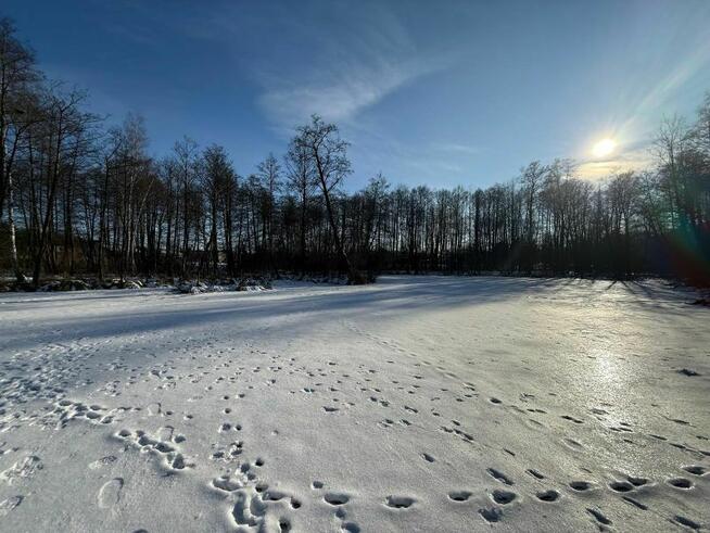 Dom w atrakcyjnej lokalizacji blisko Gostynina - 3 km