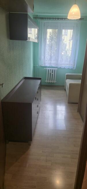 Mieszkanie do wynajęcia