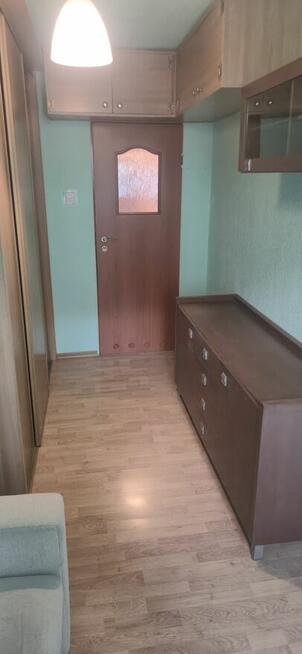 Mieszkanie do wynajęcia