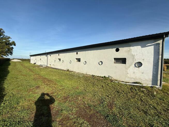 Magazyn 1000 m² do wynajęcia | Duża działka | Pielgrzymowice