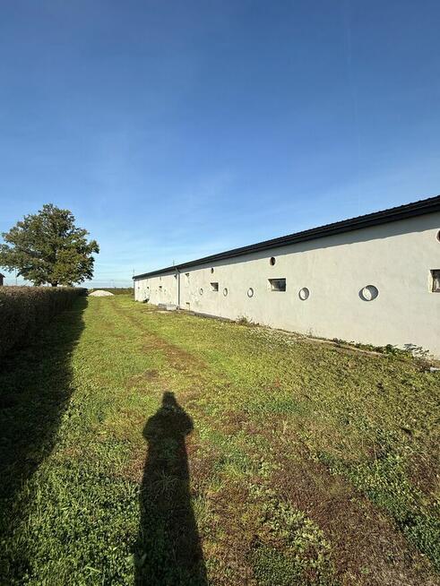 Magazyn 1000 m² do wynajęcia | Duża działka | Pielgrzymowice