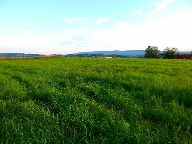 Syndyk sprzeda widokowe działki w Strzyżowie