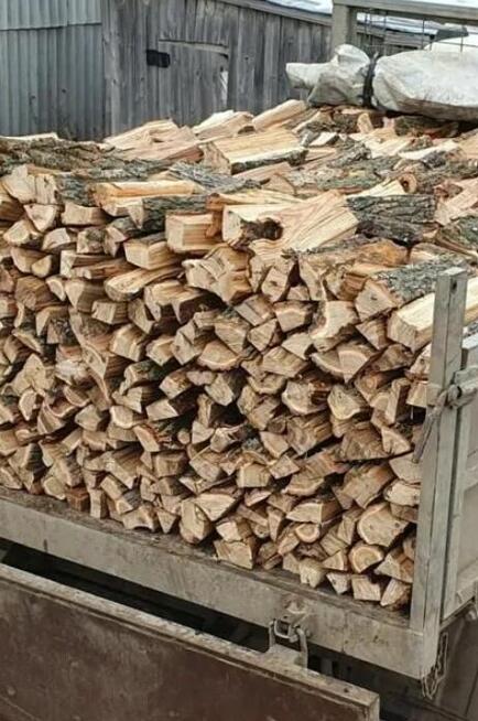 Drewno opałowe/kominkowe w rozsądnej cenie Olsztyn