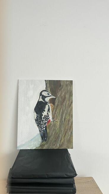 Strażnik lasu – dzięcioł, obraz olejny 24×30 ręcznie malo