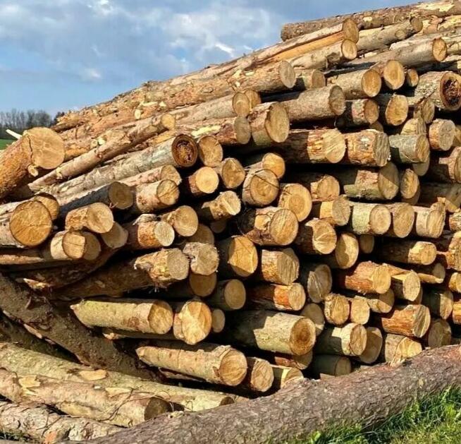 Drewno opałowe/kominkowe w rozsądnej cenie Lidbark
