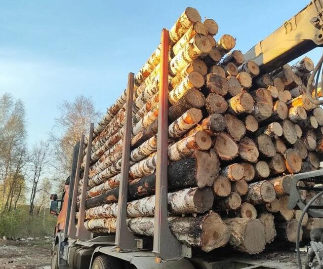 Drewno kominkowe opałowe Sorkwity