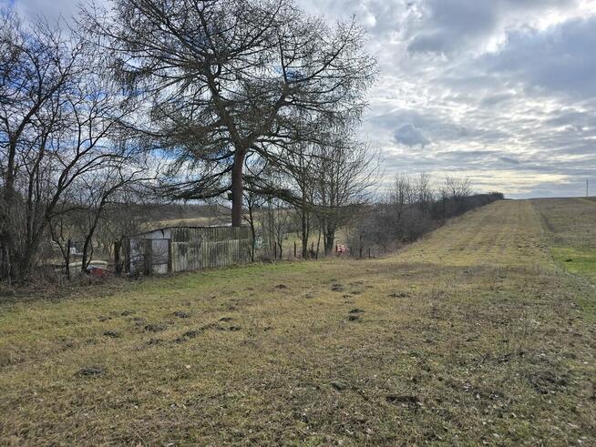 Przeczyce Targowa, działka rolno-budowlana