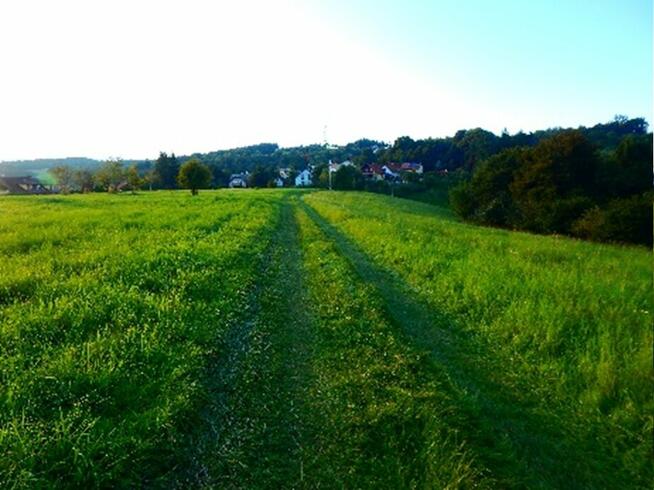 Syndyk sprzeda widokowe działki w Strzyżowie