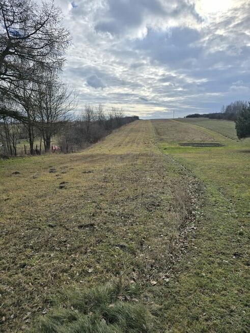Przeczyce Targowa, działka rolno-budowlana