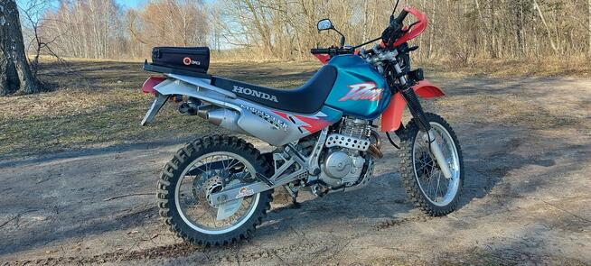 Honda dominator 650 enduro