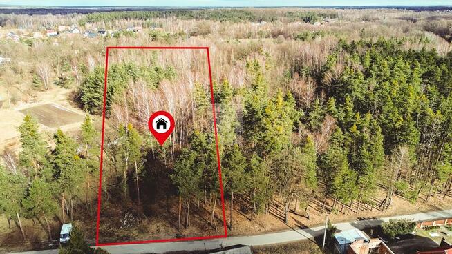 Działka leśna Mokrzyska gm. Brzesko