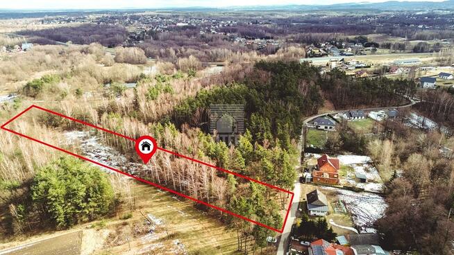 Działka leśna Mokrzyska gm. Brzesko