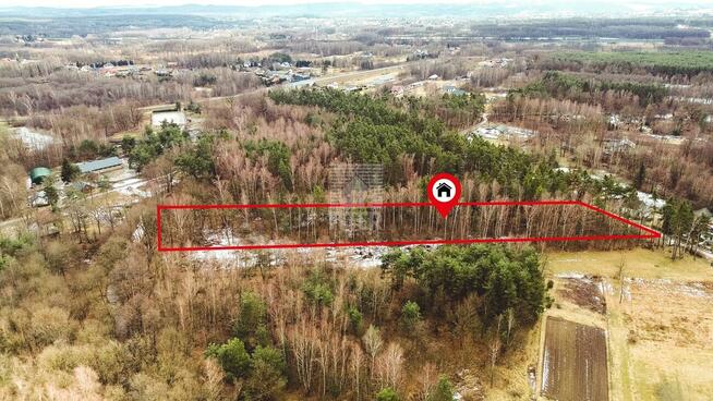 Działka leśna Mokrzyska gm. Brzesko