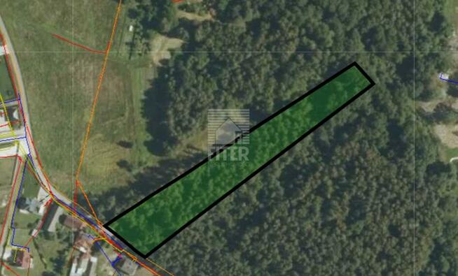 Działka leśna Mokrzyska gm. Brzesko