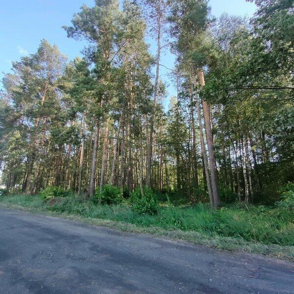 Działka Górki małe