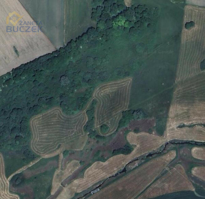 Działka rolna Mikołajew gm. Teresin Stary Mikołajew,
