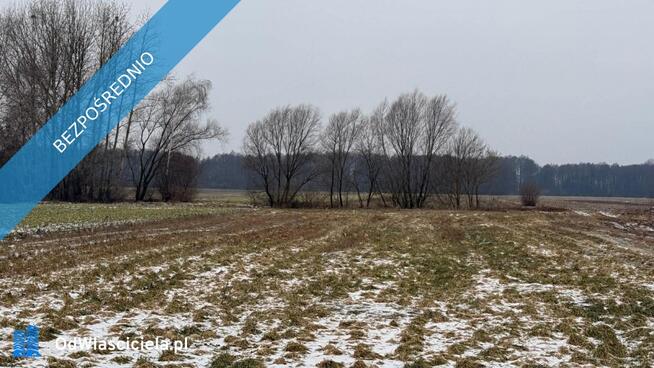 Siedlisko – 1,66 ha z Lasem i Działką Budowlaną W MILEJEWIE, GM. OSTROWITE