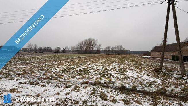 Siedlisko – 1,66 ha z Lasem i Działką Budowlaną W MILEJEWIE, GM. OSTROWITE