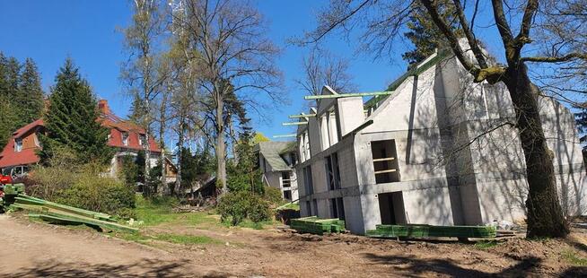 0%, widok na Szrenicę, w pobliżu parku DINO