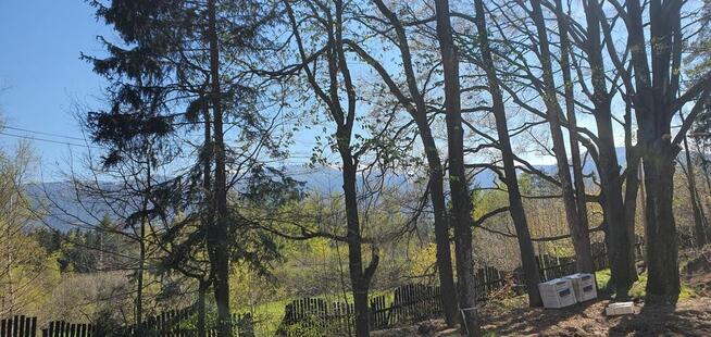 Mieszkanie Szklarska poręba, ul. Muzealna