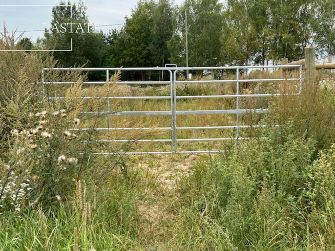 Działka rekreacyjna Miłuki gm. Pasym,