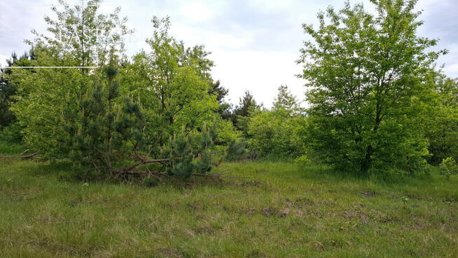 Działka inwestycyjna Myrcha gm. Wiśniew,