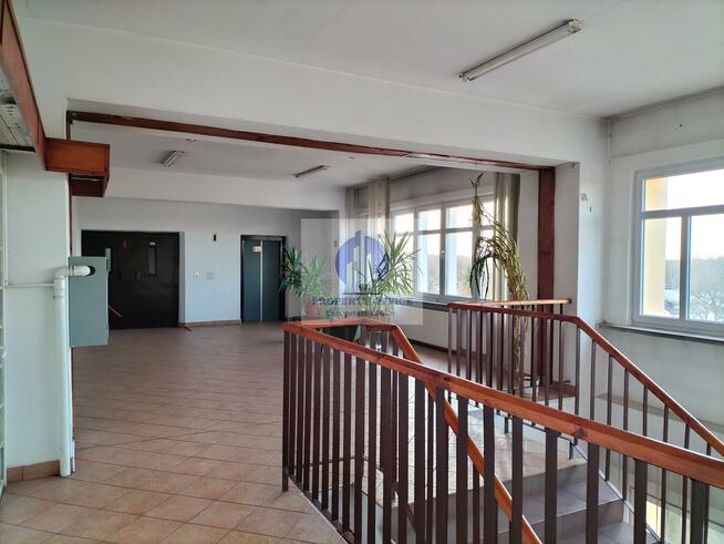 Lokal użytkowy Warszawa Wawer, Anin, Kazimierza Szpotańskiego