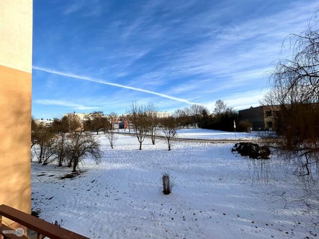 Mieszkanie Kielce Kielce