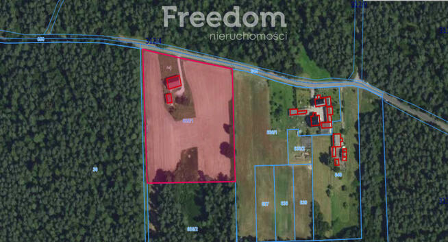 Dom z działką prawie 1,5 hektara