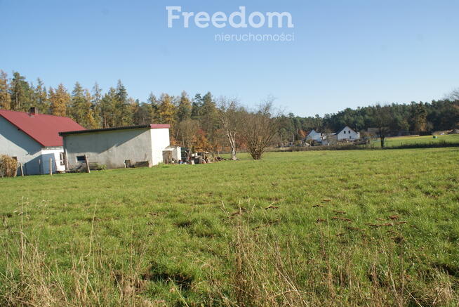Dom z działką prawie 1,5 hektara