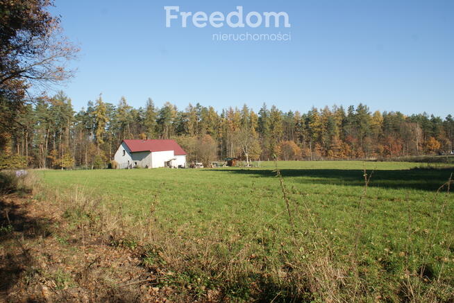Dom z działką prawie 1,5 hektara