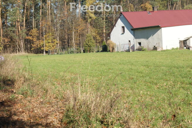 Dom z działką prawie 1,5 hektara