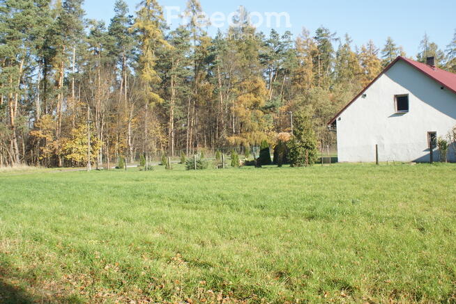 Dom z działką prawie 1,5 hektara