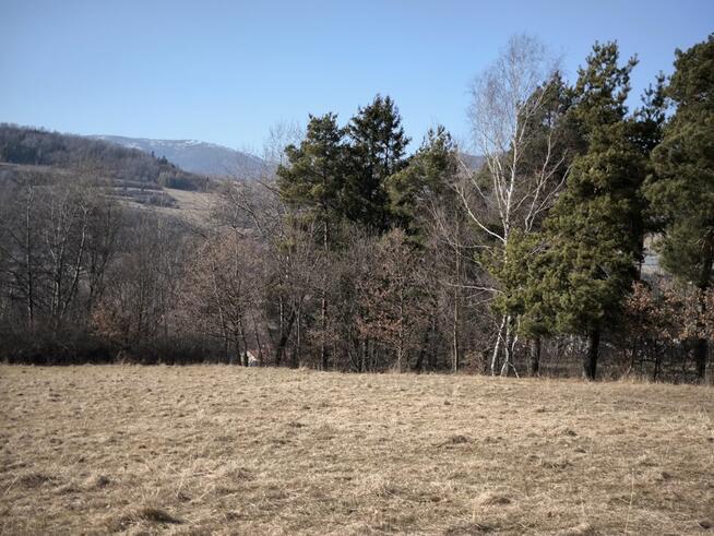 Działka rolna Cisiec gm. Węgierska Górka,