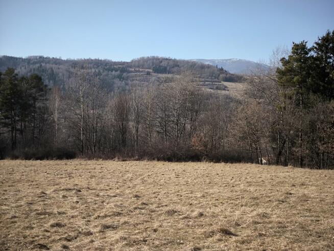 Działka rolna Cisiec gm. Węgierska Górka,