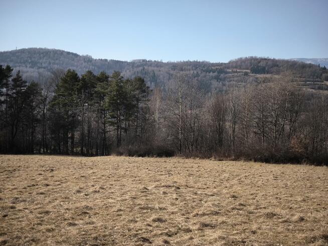 Działka rolna Cisiec gm. Węgierska Górka,