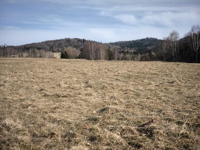 Działka rolna Cisiec gm. Węgierska Górka,