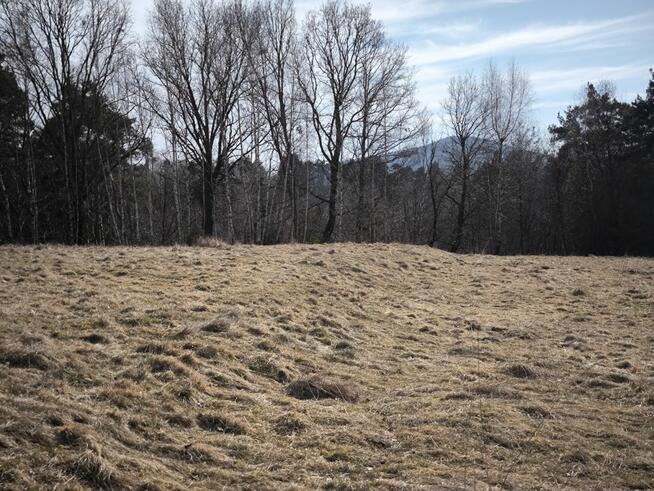 Działka rolna Cisiec gm. Węgierska Górka,