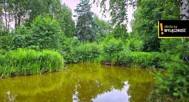 Działka rolna Żuków gm. Solec-Zdrój,