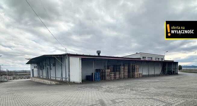 Lokal użytkowy Racibórz, Podmiejska